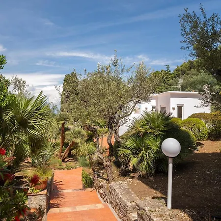 Donna Carolina Capri